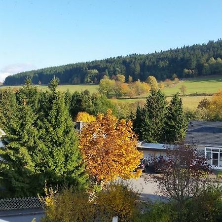 Fewos 4-Jahreszeiten Willingen  Bagian luar foto