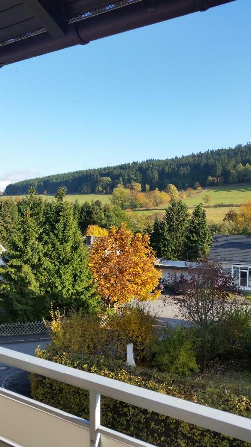 Fewos 4-Jahreszeiten Willingen  Bagian luar foto
