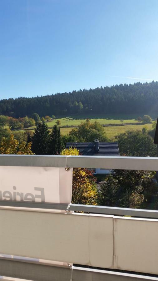 Fewos 4-Jahreszeiten Willingen  Bagian luar foto