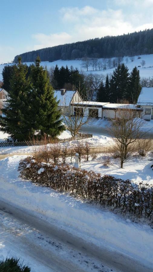Fewos 4-Jahreszeiten Willingen  Bagian luar foto