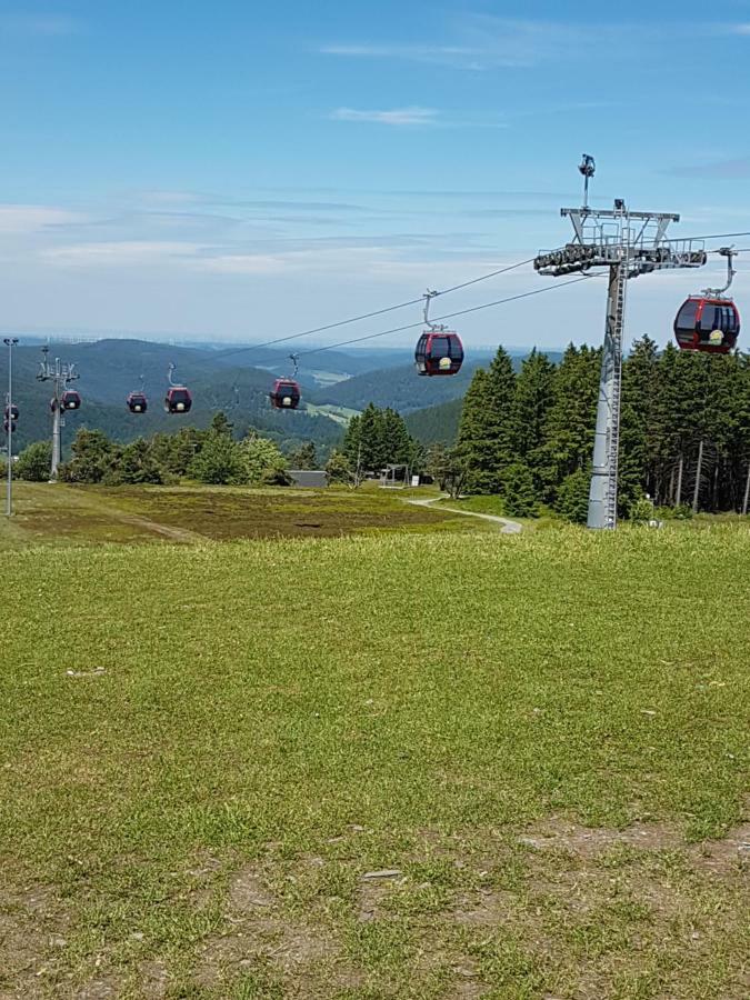 Fewos 4-Jahreszeiten Willingen  Bagian luar foto