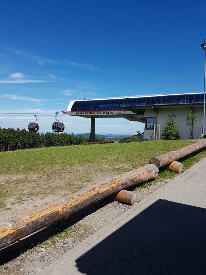 Fewos 4-Jahreszeiten Willingen  Bagian luar foto