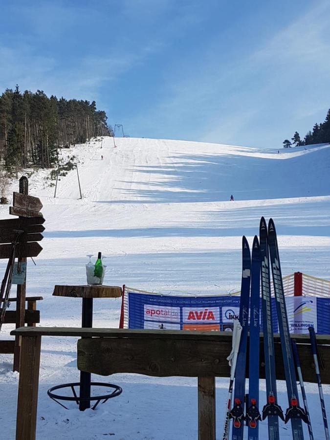 Fewos 4-Jahreszeiten Willingen  Bagian luar foto