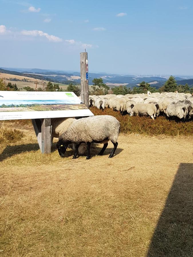 Fewos 4-Jahreszeiten Willingen  Bagian luar foto
